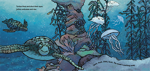 Ocean Lullaby