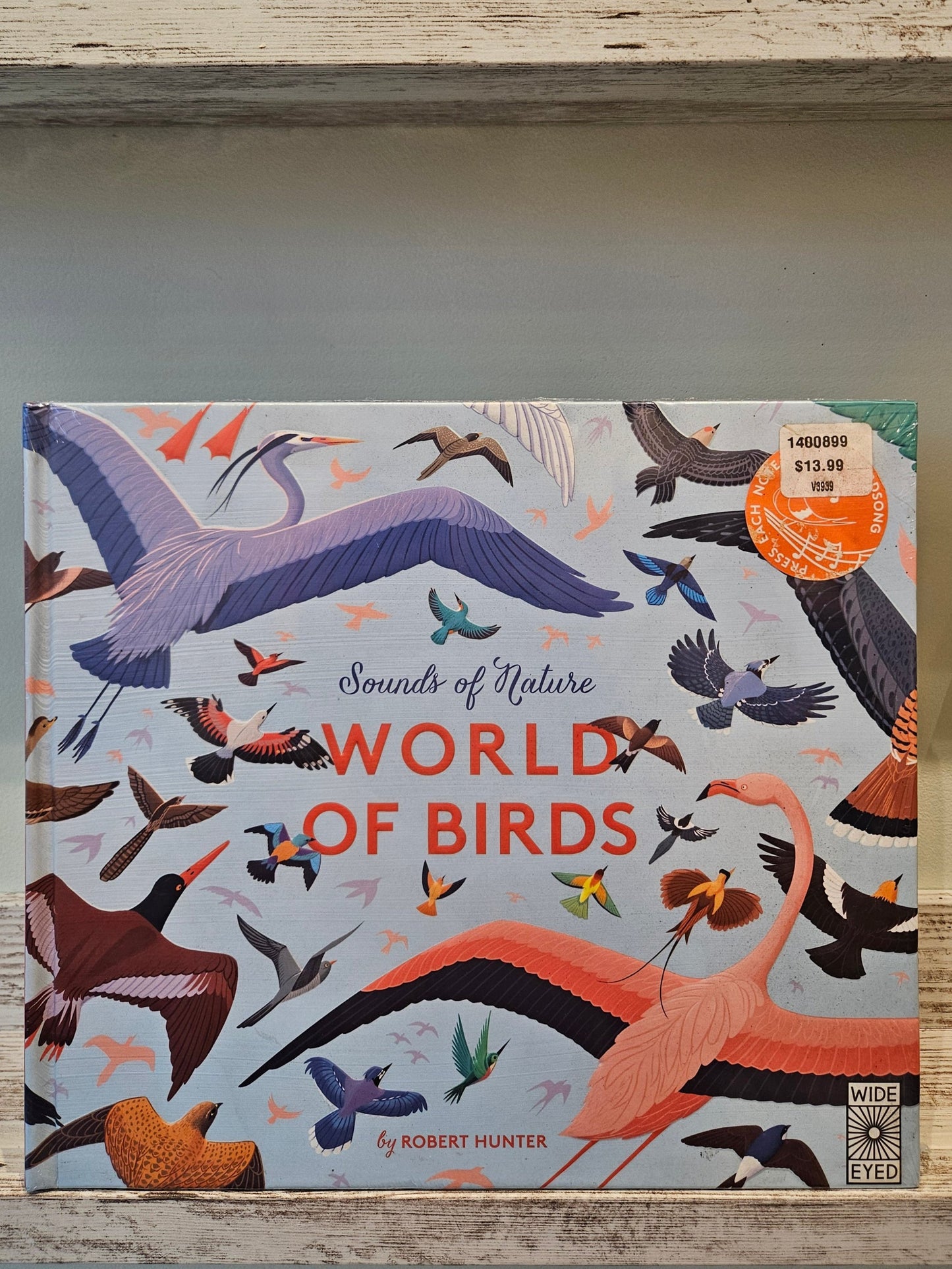 Sounds of Nature: World of Birds (Sound Book)