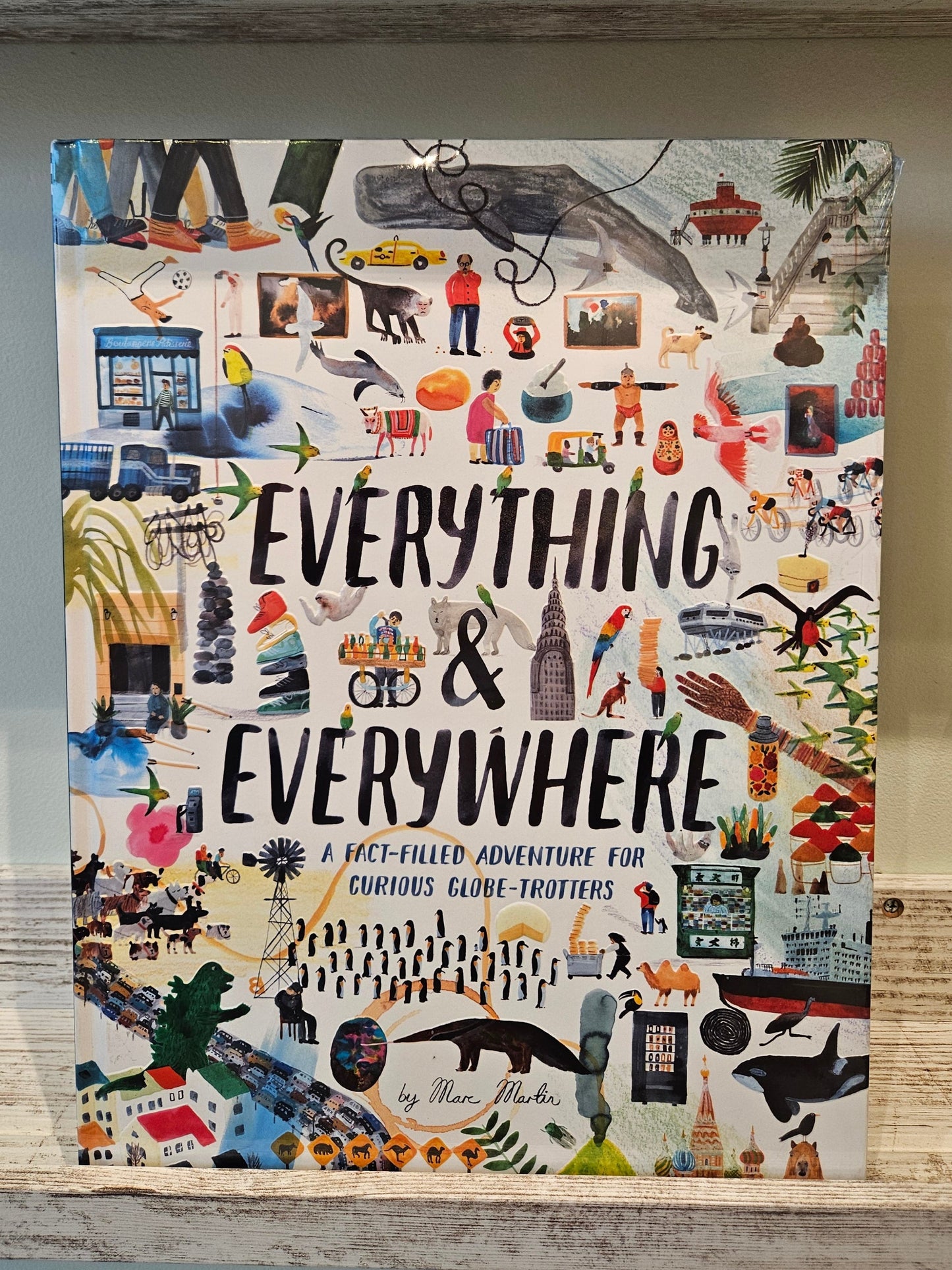 Everything & Everywhere: A Fact-Filled Adventure for Curious Globe-Trotters