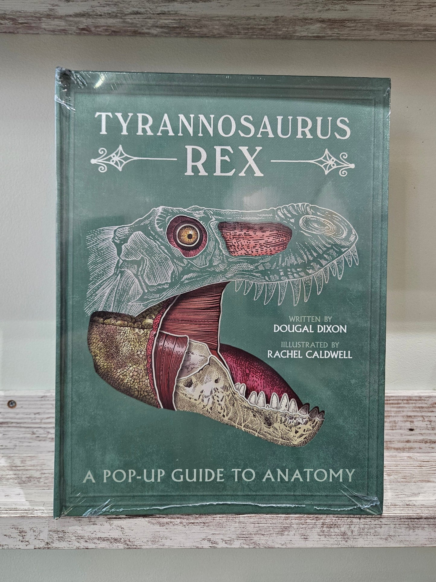 Tyrannosaurus Rex: A Pop-up Guide to Anatomy