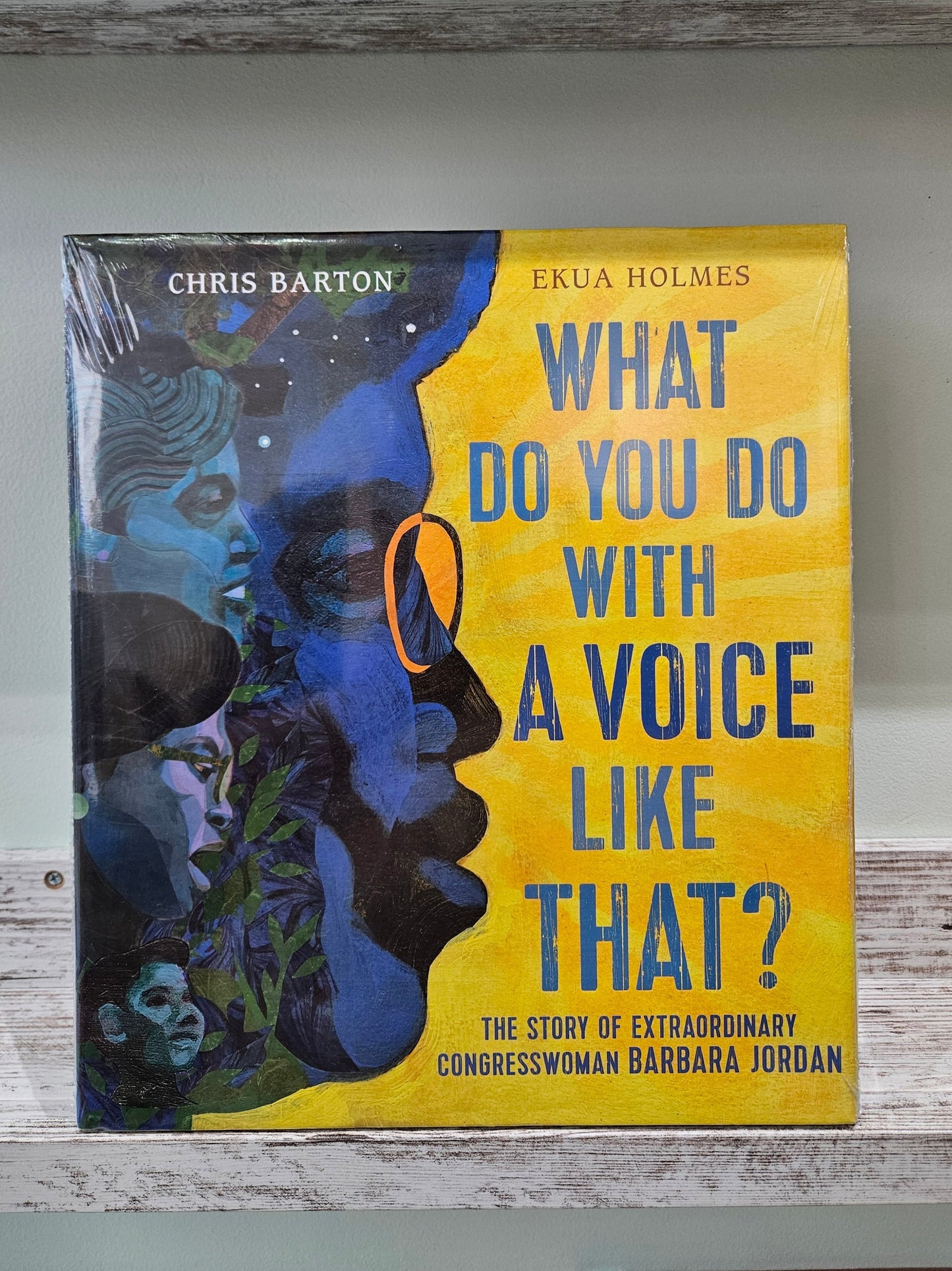What Do You Do With a Voice Like That