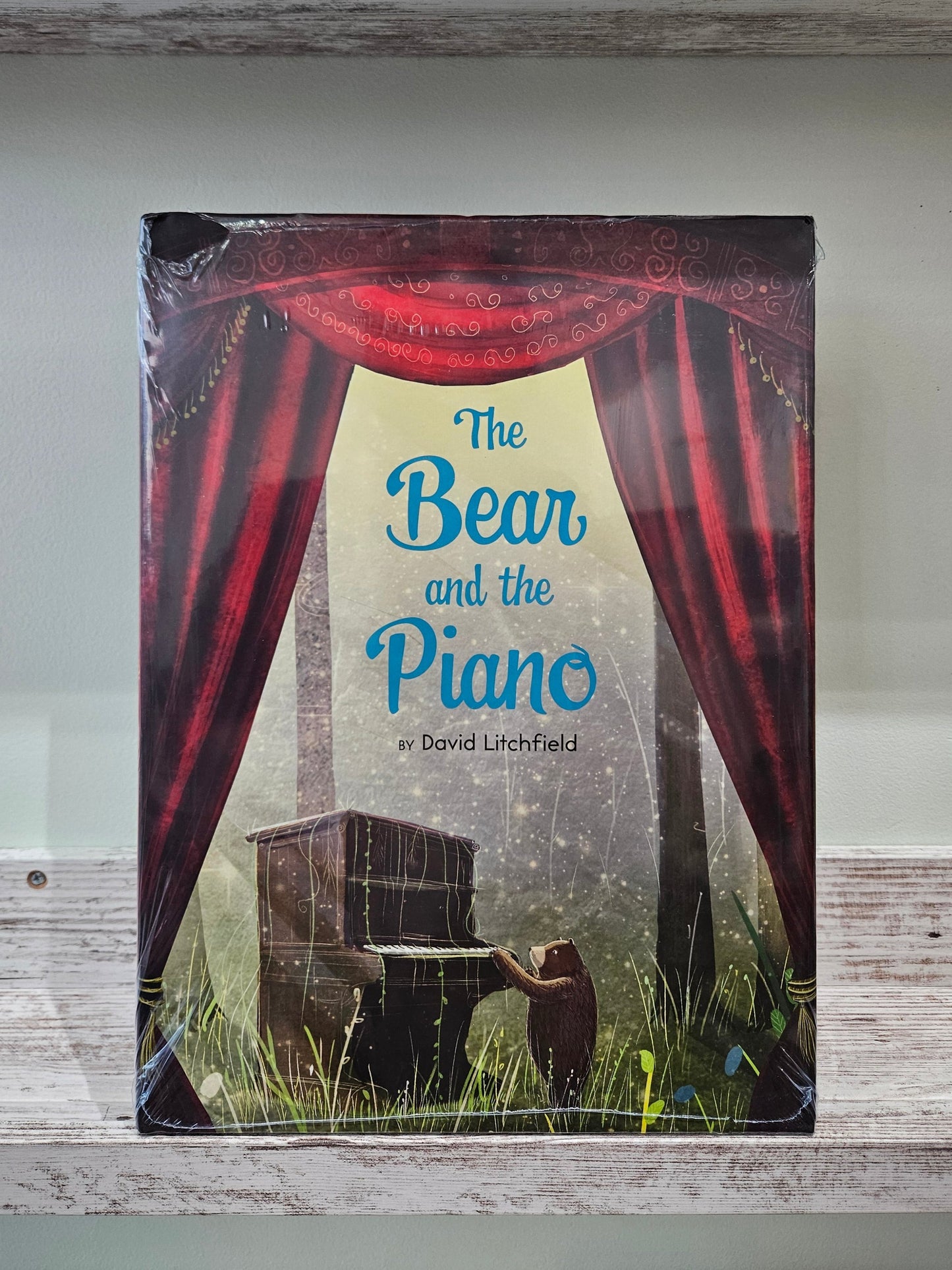 The Bear and the Piano