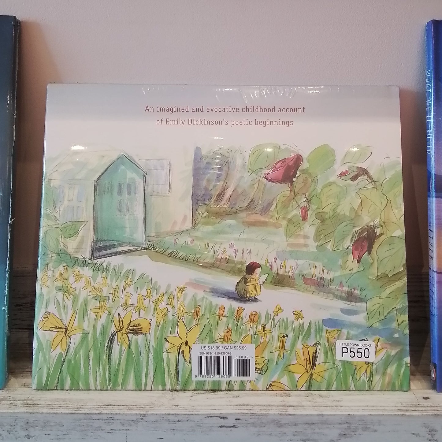 Emily Writes: Emily Dickinson and Her Poetic Beginnings