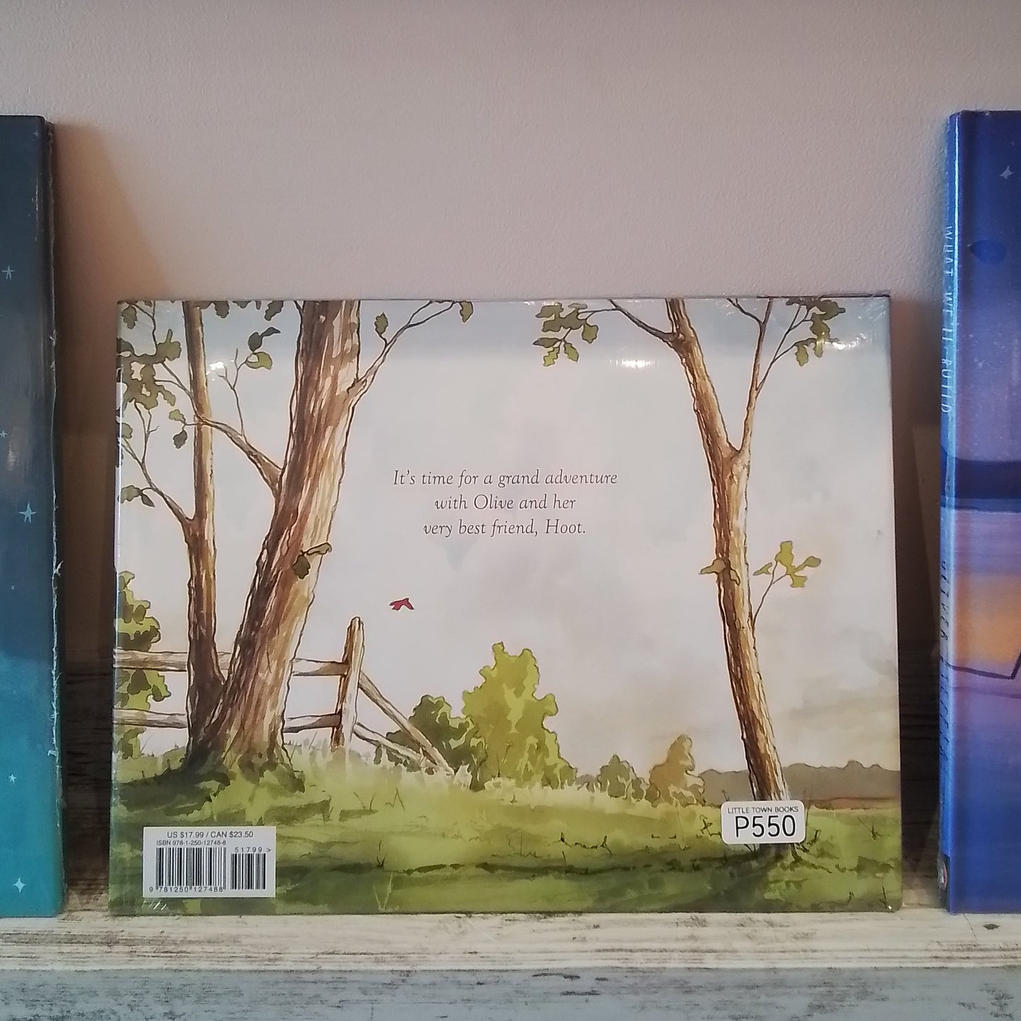 Brave Enough for Two: A Hoot & Olive Story