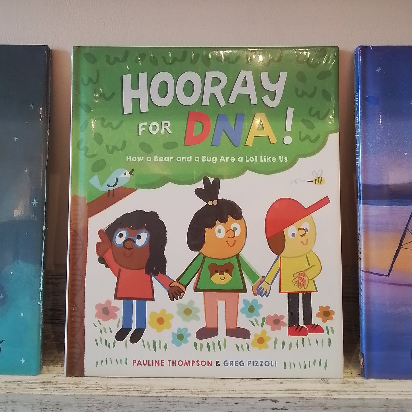 Hooray for DNA!: How a Bear and a Bug Are a Lot Like Us