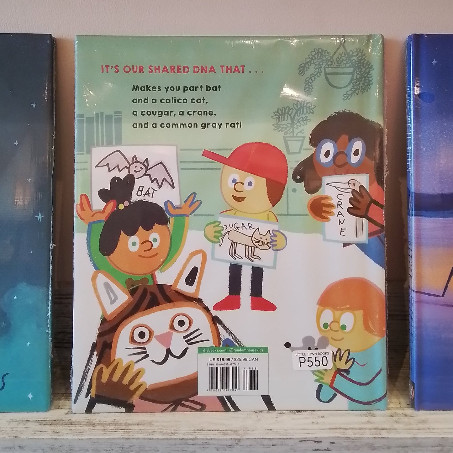 Hooray for DNA!: How a Bear and a Bug Are a Lot Like Us