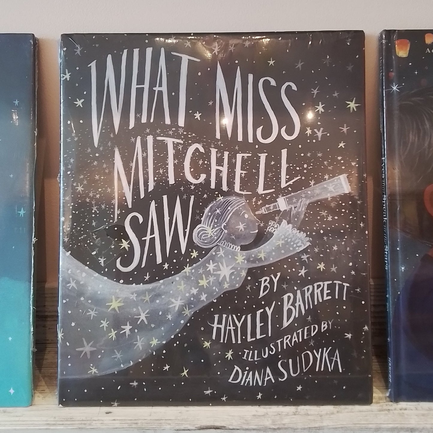 What Miss Mitchell Saw