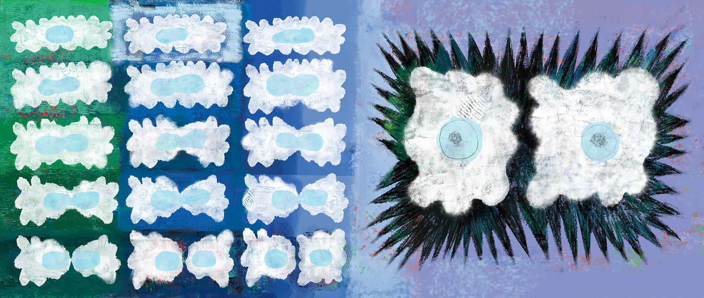 Cells: An Owner's Handbook