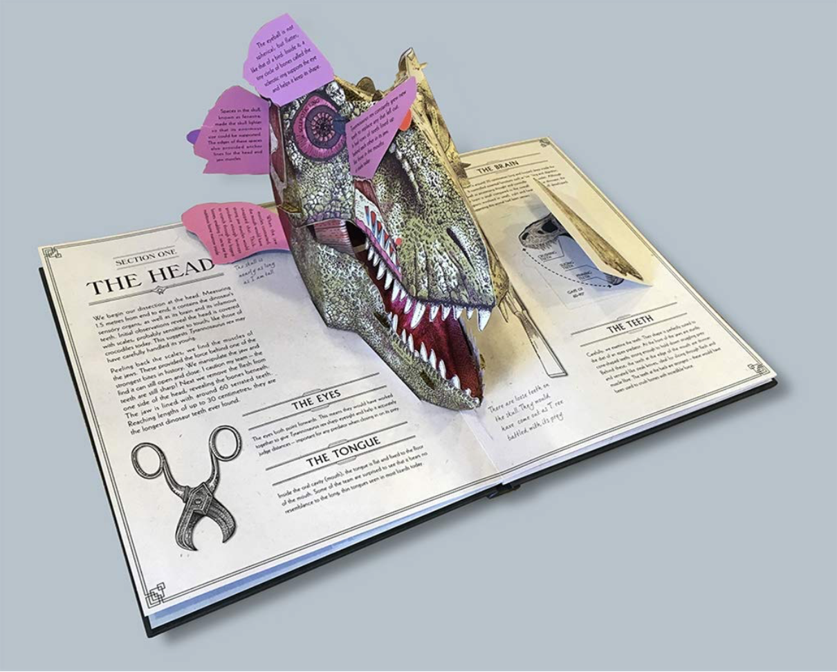 Tyrannosaurus Rex: A Pop-up Guide to Anatomy